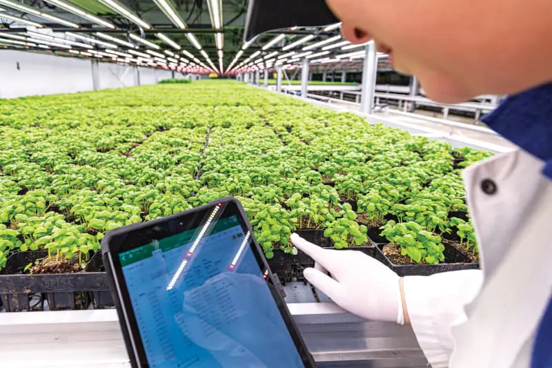 Organic soil testing